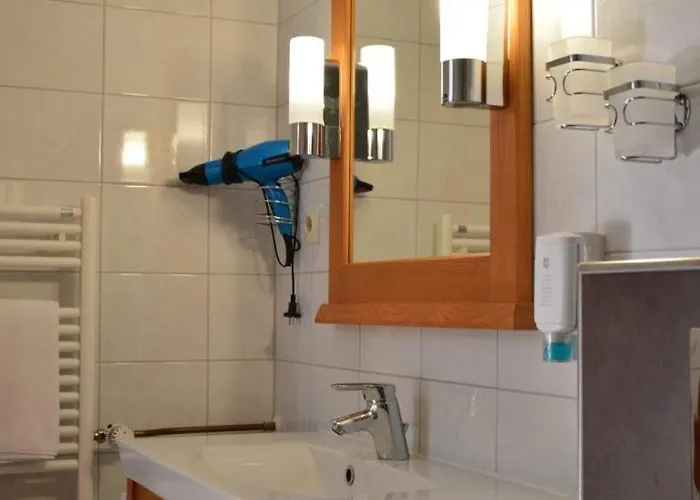 Silberfelsen ホテル Menzenschwand-Hinterdorf